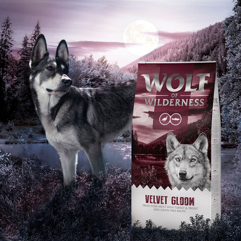 Wolf of Wilderness Velvet Gloom dinde, truite - sans céréales