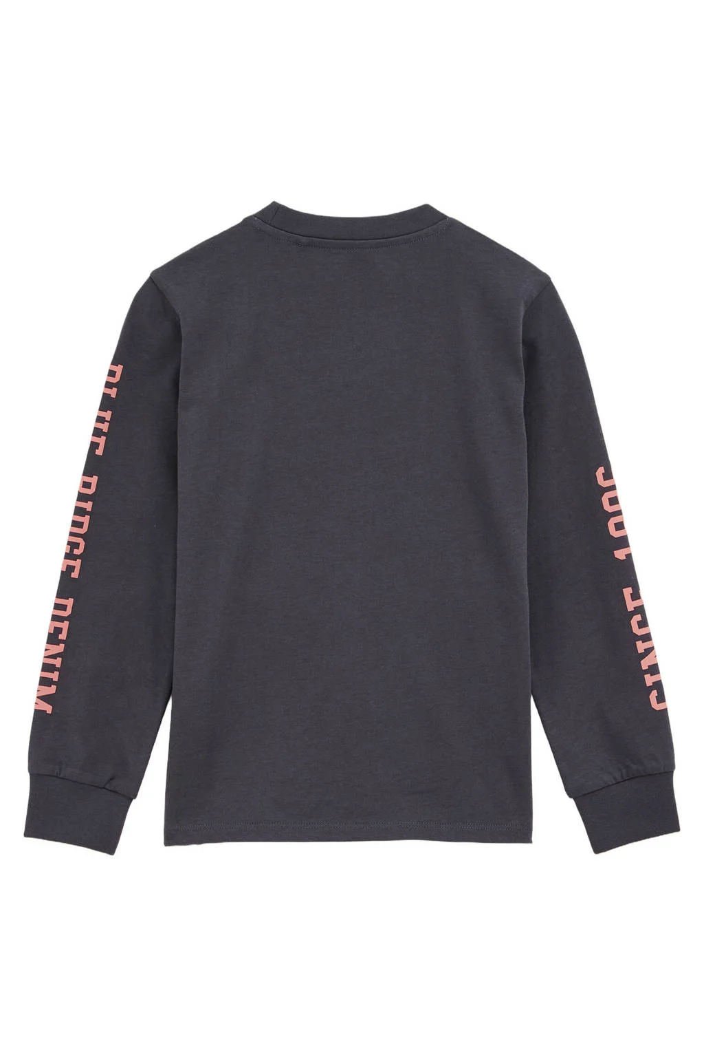 WE Fashion Blue Ridge longsleeve antraciet