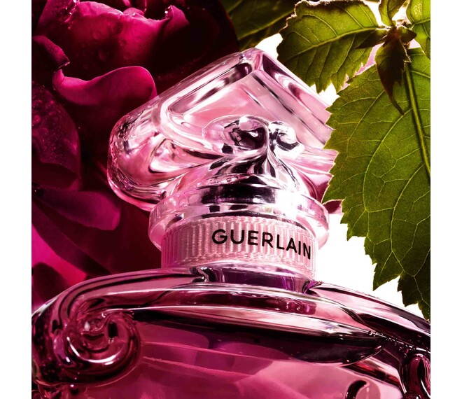 Guerlain La Petite Robe Noire Absolument Eau de Parfum