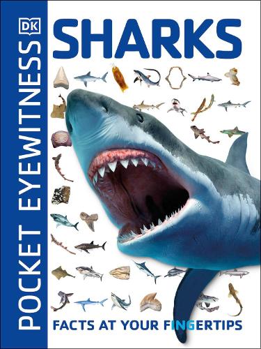 Pocket Eyewitness Sharks: Facts at Your Fingertips - Pocket Eyewitness (Paperback)