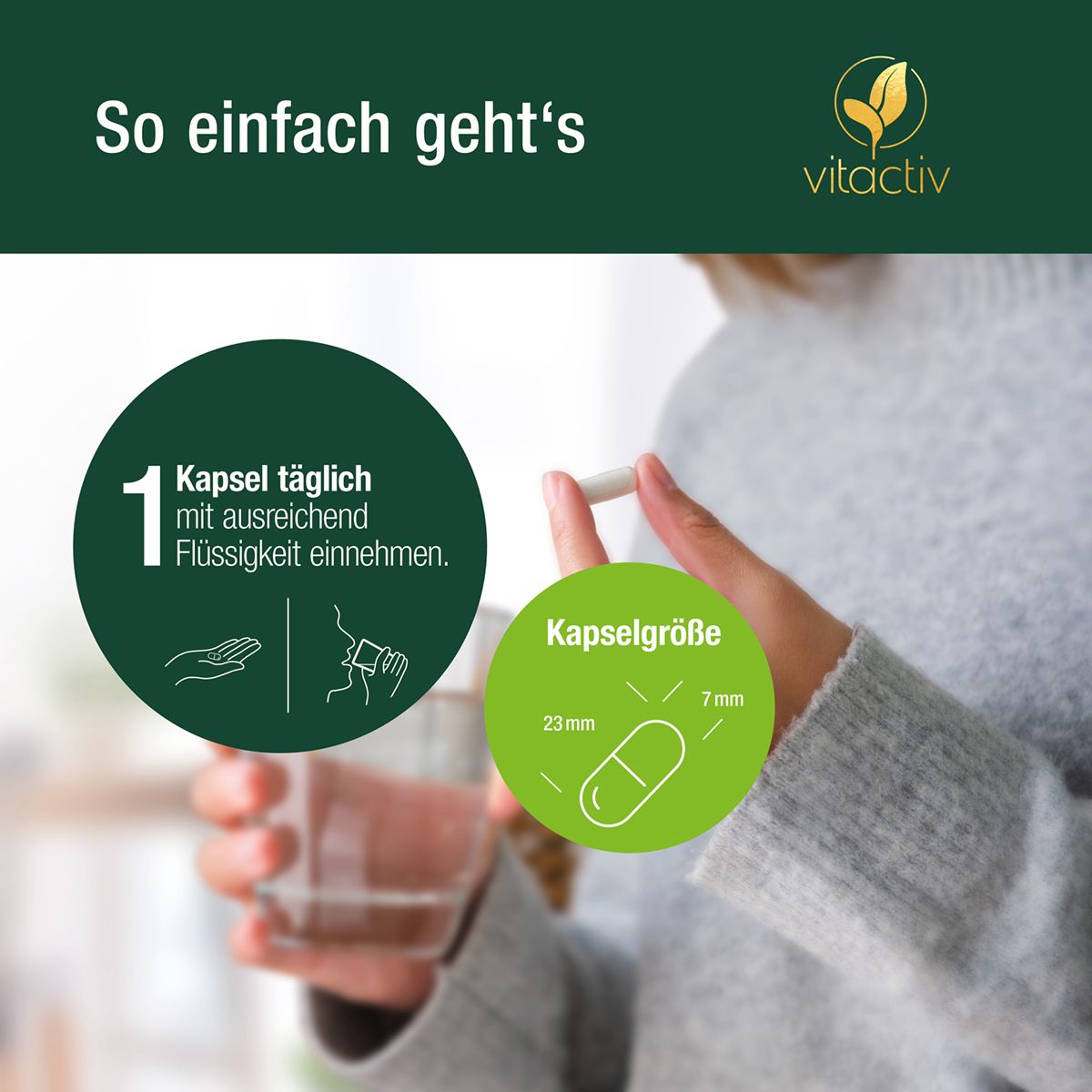 Vitactiv OPC Traubenkernextrakt