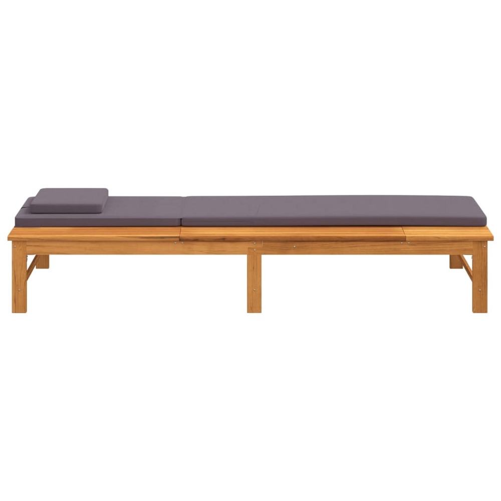 Transat chaise longue bain de soleil lit de jardin terrasse meuble d'extérieur et coussin/oreiller gris foncé bois massif aca