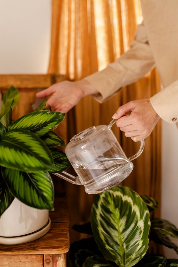 Gieter voor kamerplanten, glas, 1,5 liter