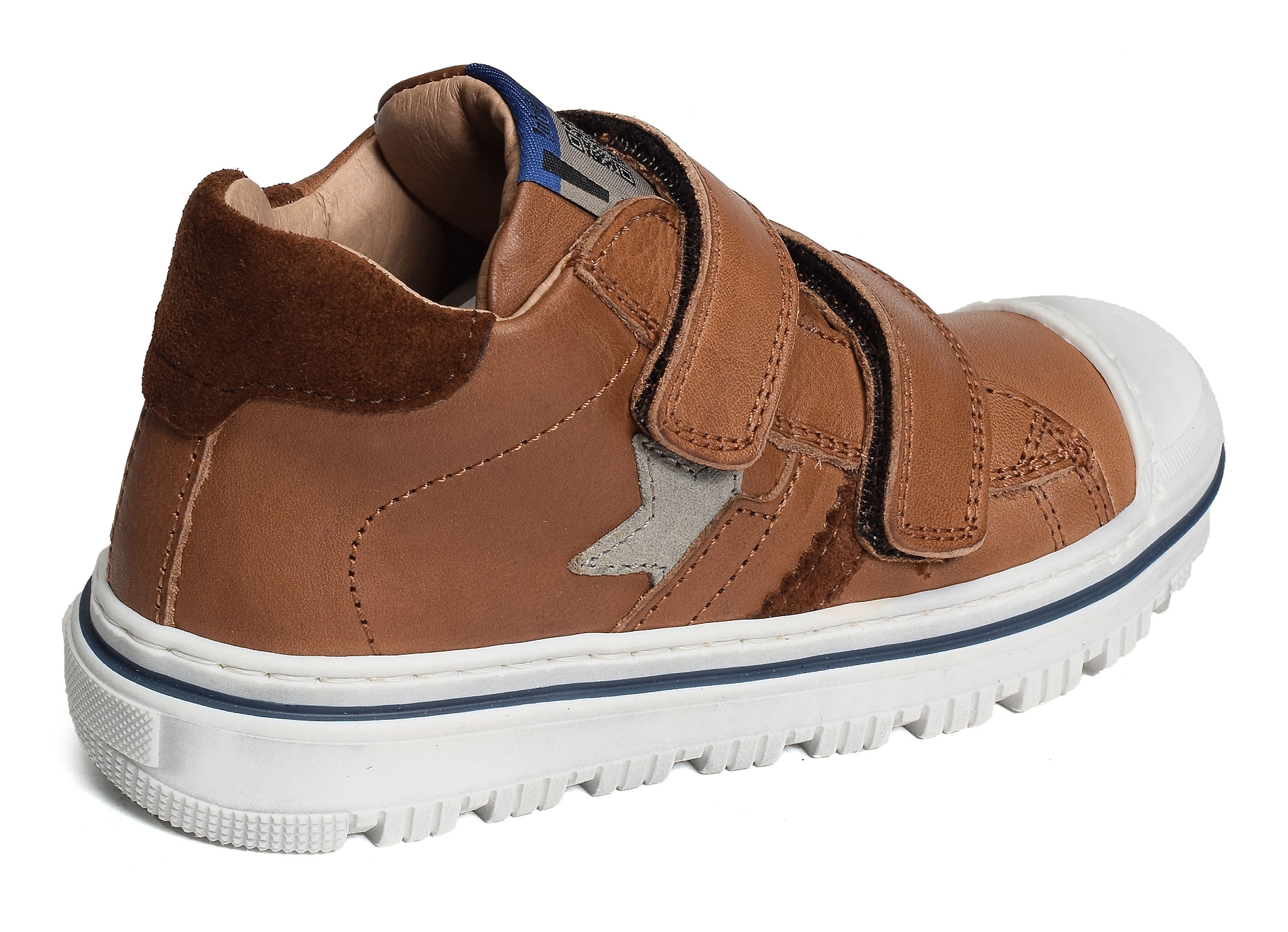 Kasino camel