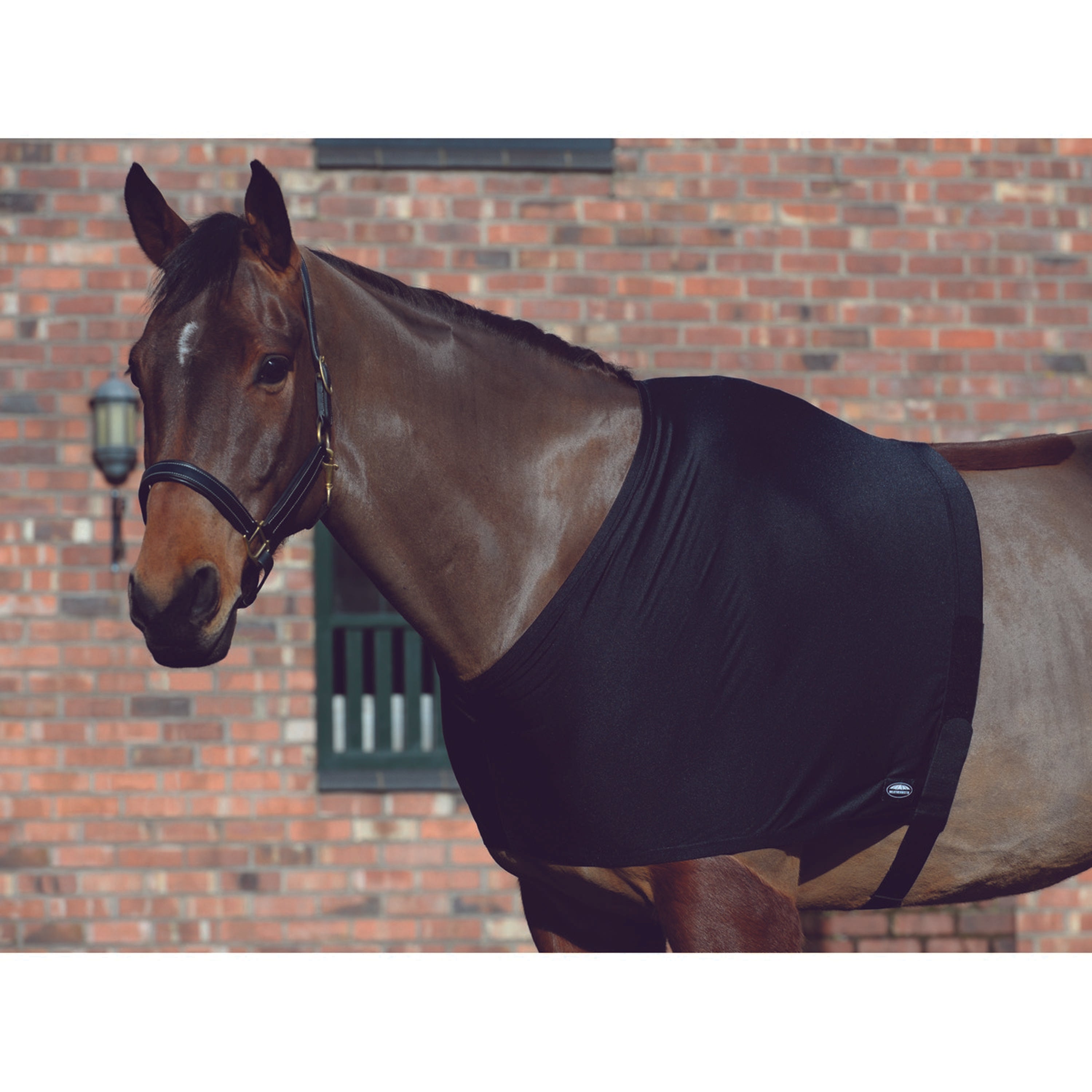 WeatherBeeta Shoulder Guard Stretch Black