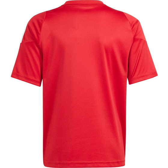 adidas Tiro 24 Trainingsset Kids