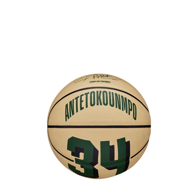 NBA Player Icon Mini Basketball – Giannis