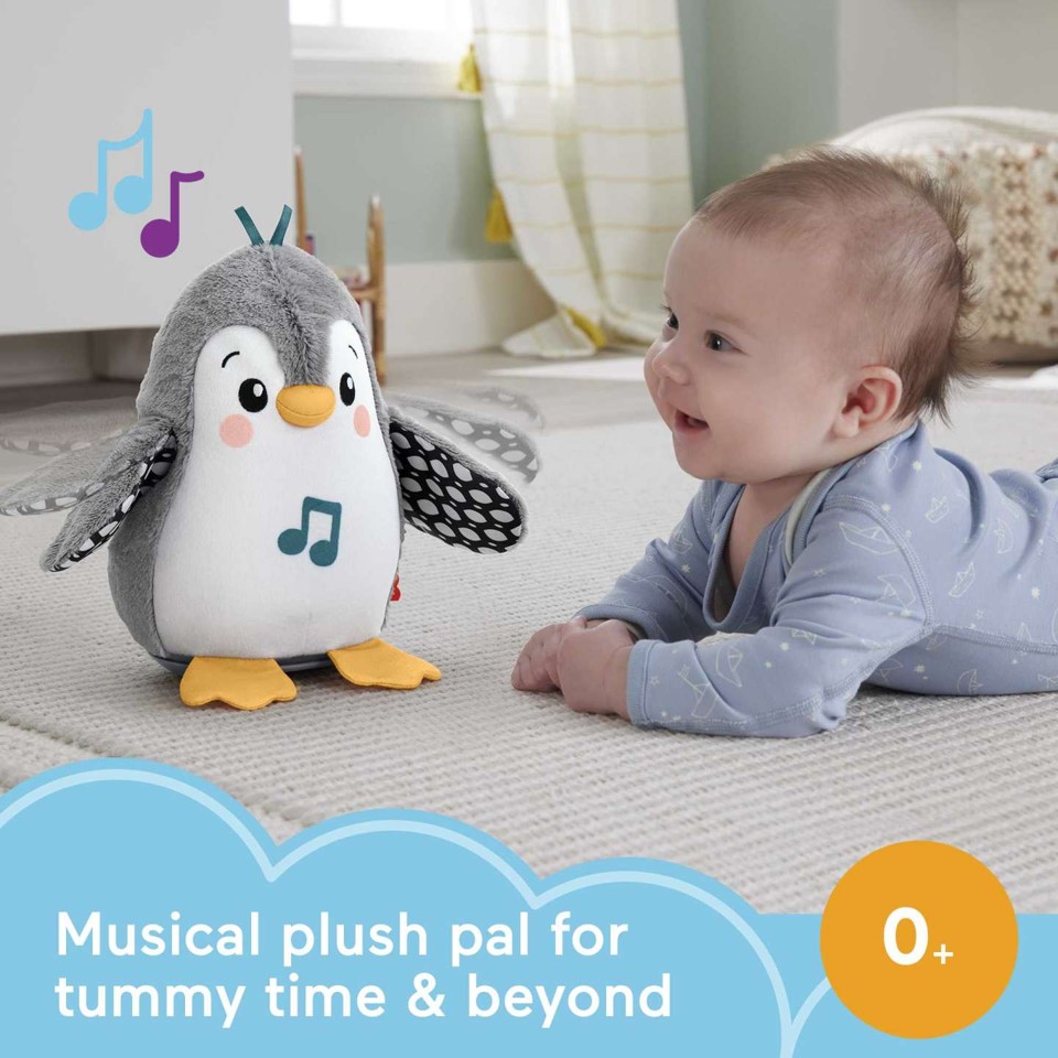 Fisher-Price Newborn - Flap & Wobble Penguin (HNC10)