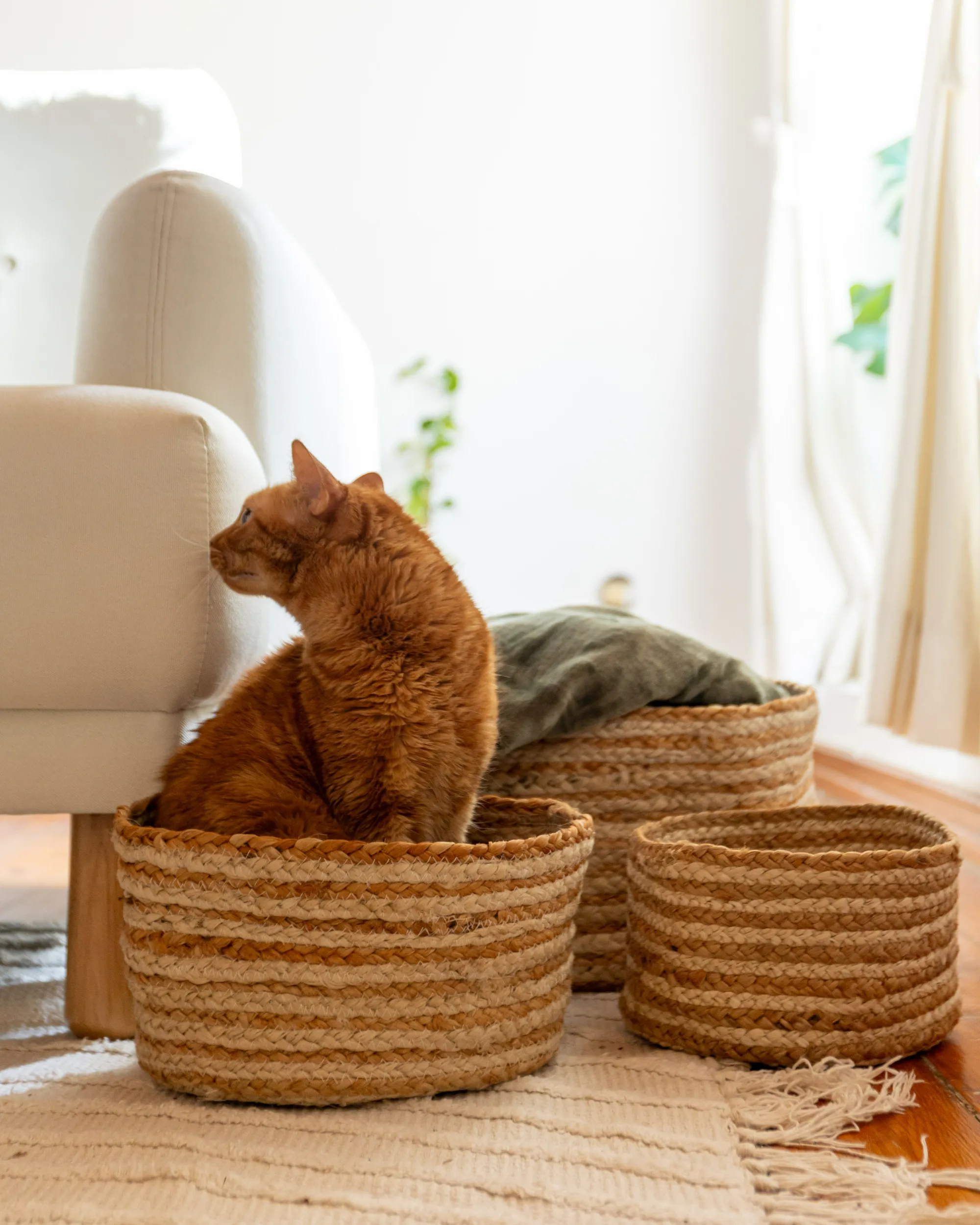 Set van 3 manden KAHU Jute Natuurlijk