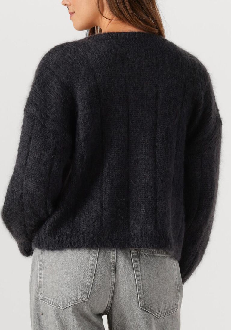 donkergrijze des petits hauts vest chouette