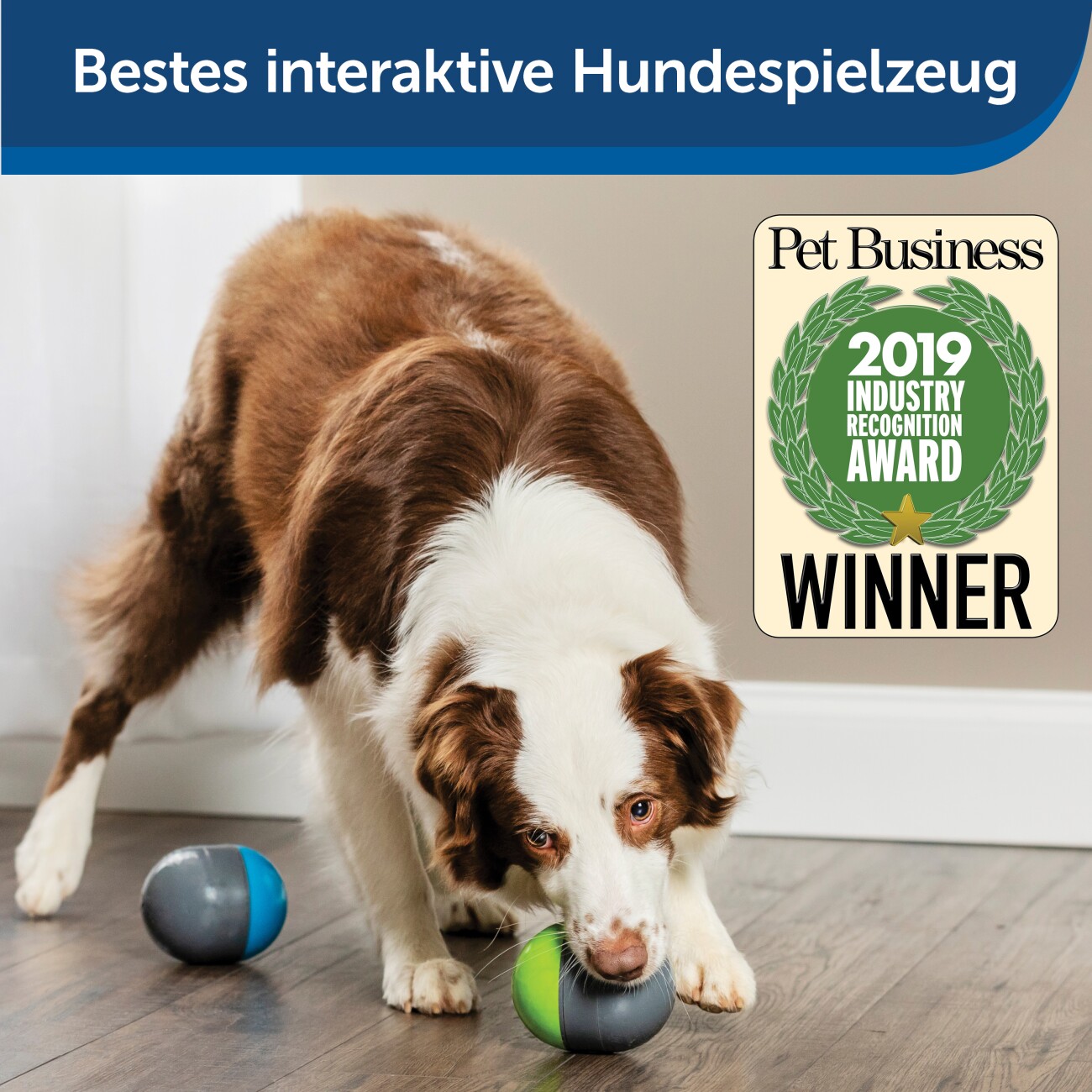 PetSafe Elektronisches Hundespielzeug Ricochet