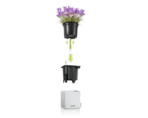 Lechuza Cube Color kunststof bloempot 16x16x16 cm wit incl. zelfbewateringssysteem en plantenbak