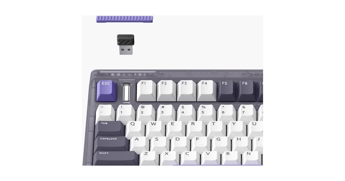 IqunixOG80 Lavandin Wireless Mechanical Keyboard, gaming toetsenbord  (Lavendel, US lay-out, Cherry MX Brown, 80% (TKL), Hot-swappable, PBT, 2.4GHz | Bluetooth 5.1 | USB-C)