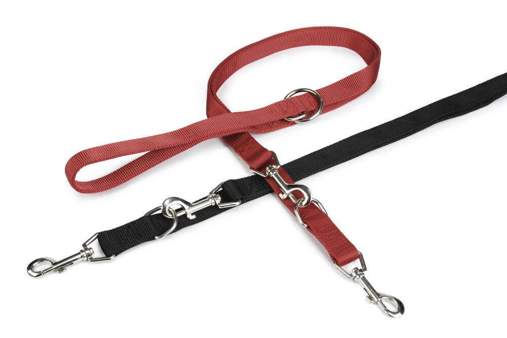 Beeztees Dubbel Gestikt - Dressuurlijn - Trainingslijn Hond - zwart - 2.5 cm - 200 cm