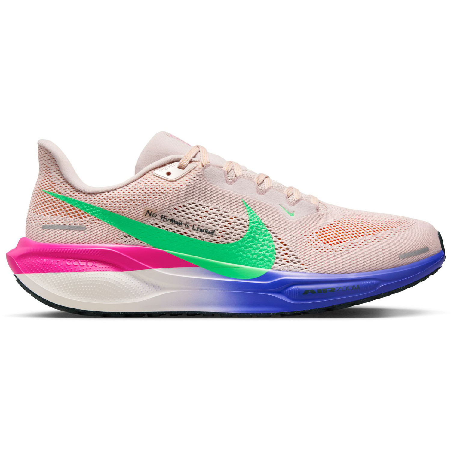 Nike Pegasus 41 EK Heren