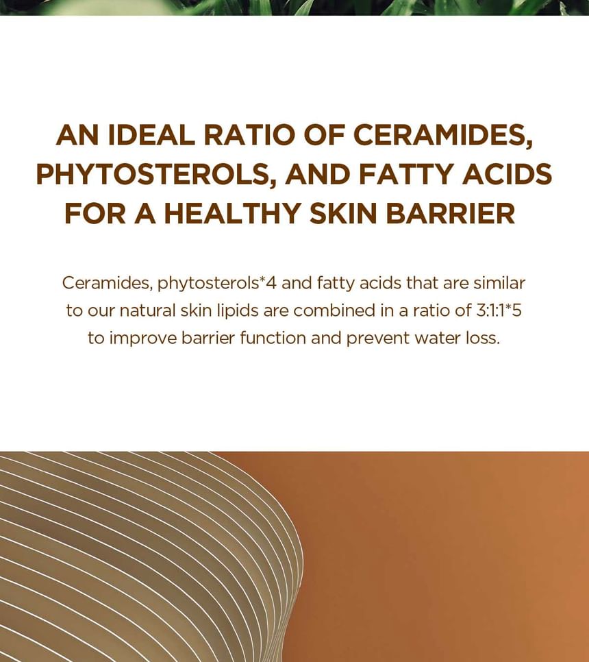 SKIN 1004 - Madagascar Centella Probio-Cica Intensieve Ampul Mini