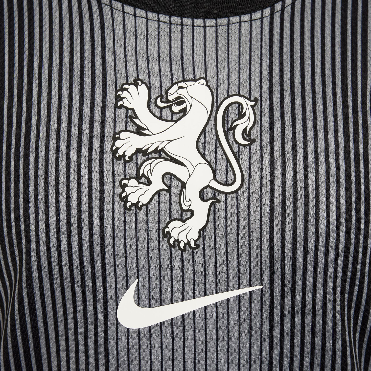 Nike Nederland Thuis Keepersshirt Leeuwinnen Kids