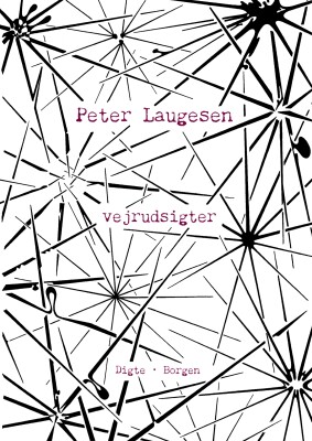 Vejrudsigter - Peter Laugesen - Bog