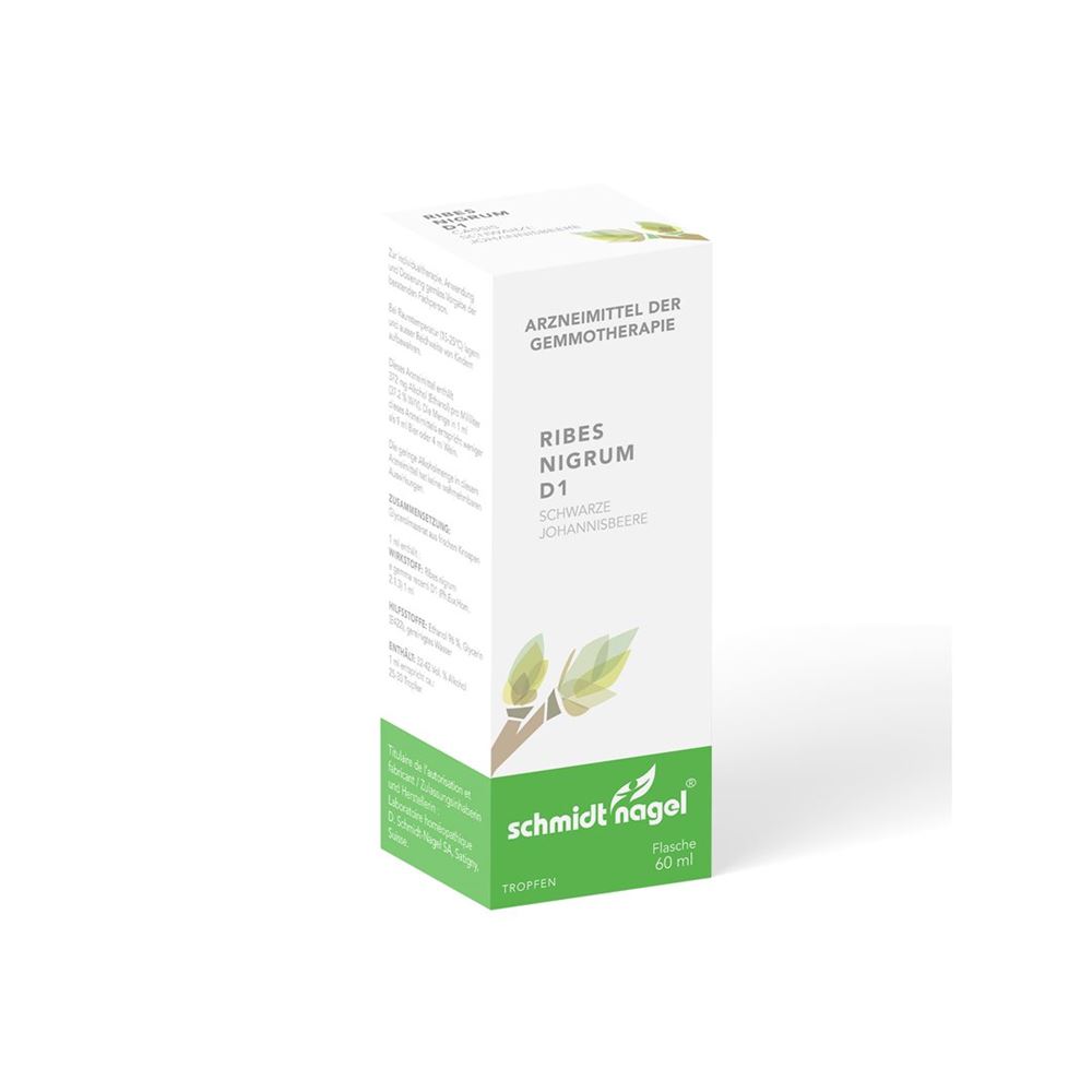 SCHMIDT-NAGEL Ribes nigrum BG 1 DH<br>60 ml, Flasche, Glycerinmazerat