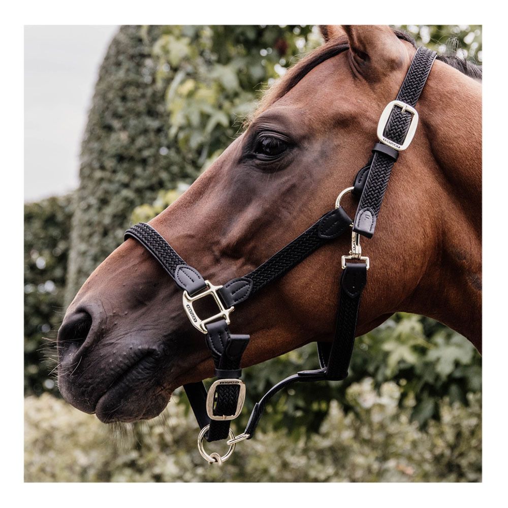 Kentucky NYLON TRESSÉ - Licol black