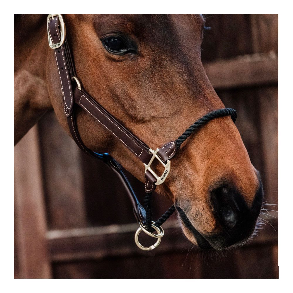 Kentucky ROPE CUIR - Licol brown