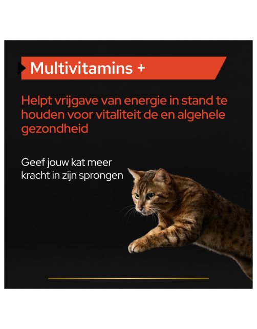 Pro Plan Kat Multivitamine Supplement - Voedingssupplement - 60 g Poeder