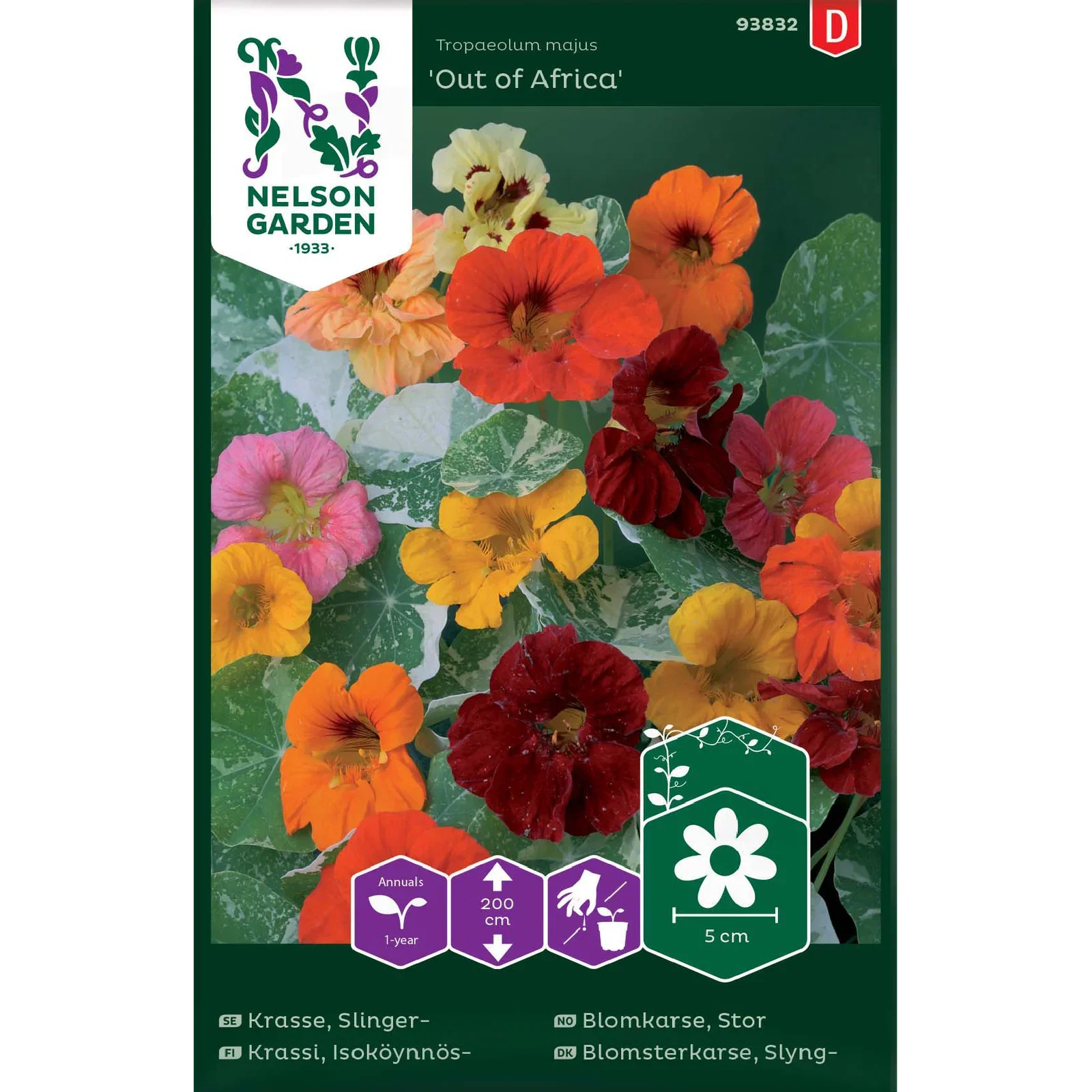 Tropaeolum majus  'Out of Africa' Stor Blomkarse 'Out of Africa'