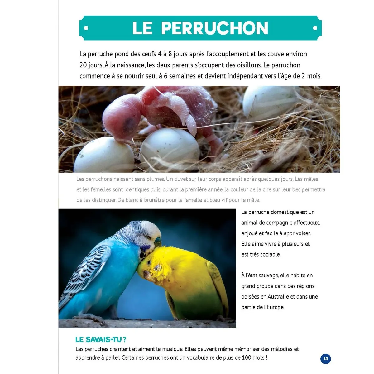 Prologue Mon Grand Animalier des Bébés Animaux