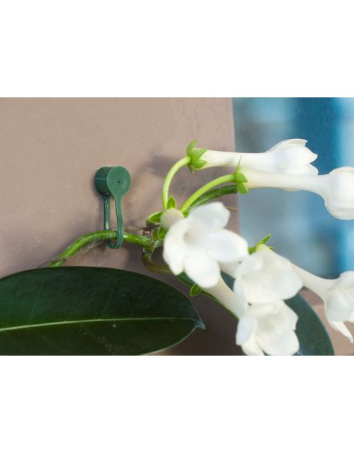 Nature Plantenklemmen - Klim-En Geleide Artikel - 0.6x0.8x6 cm Groen 15 stuks