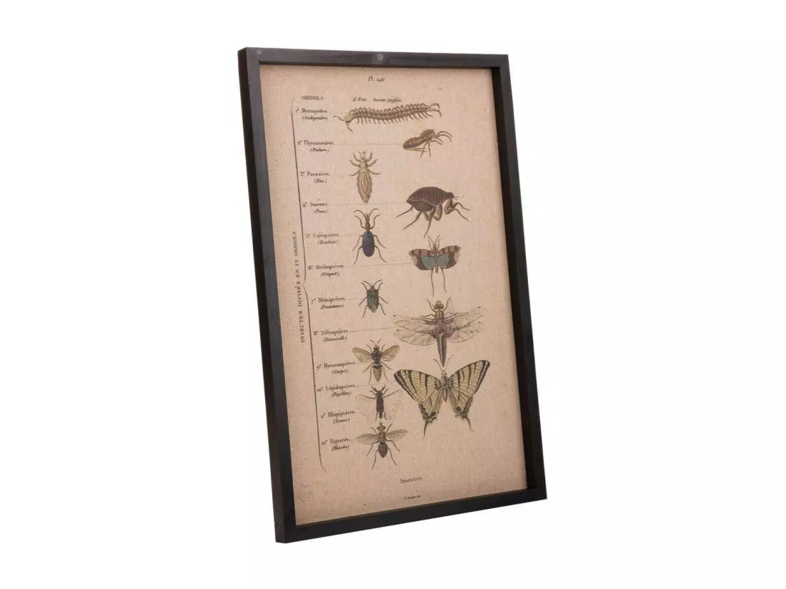 Cadre en bois et toile 40x60x2,5h