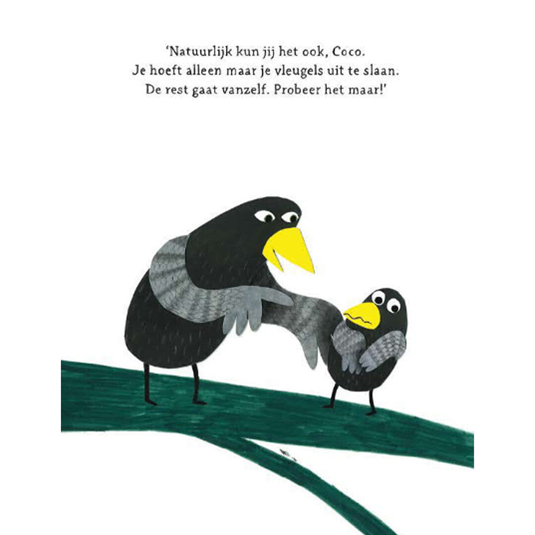 Gottmer kartonboek coco kan het!
