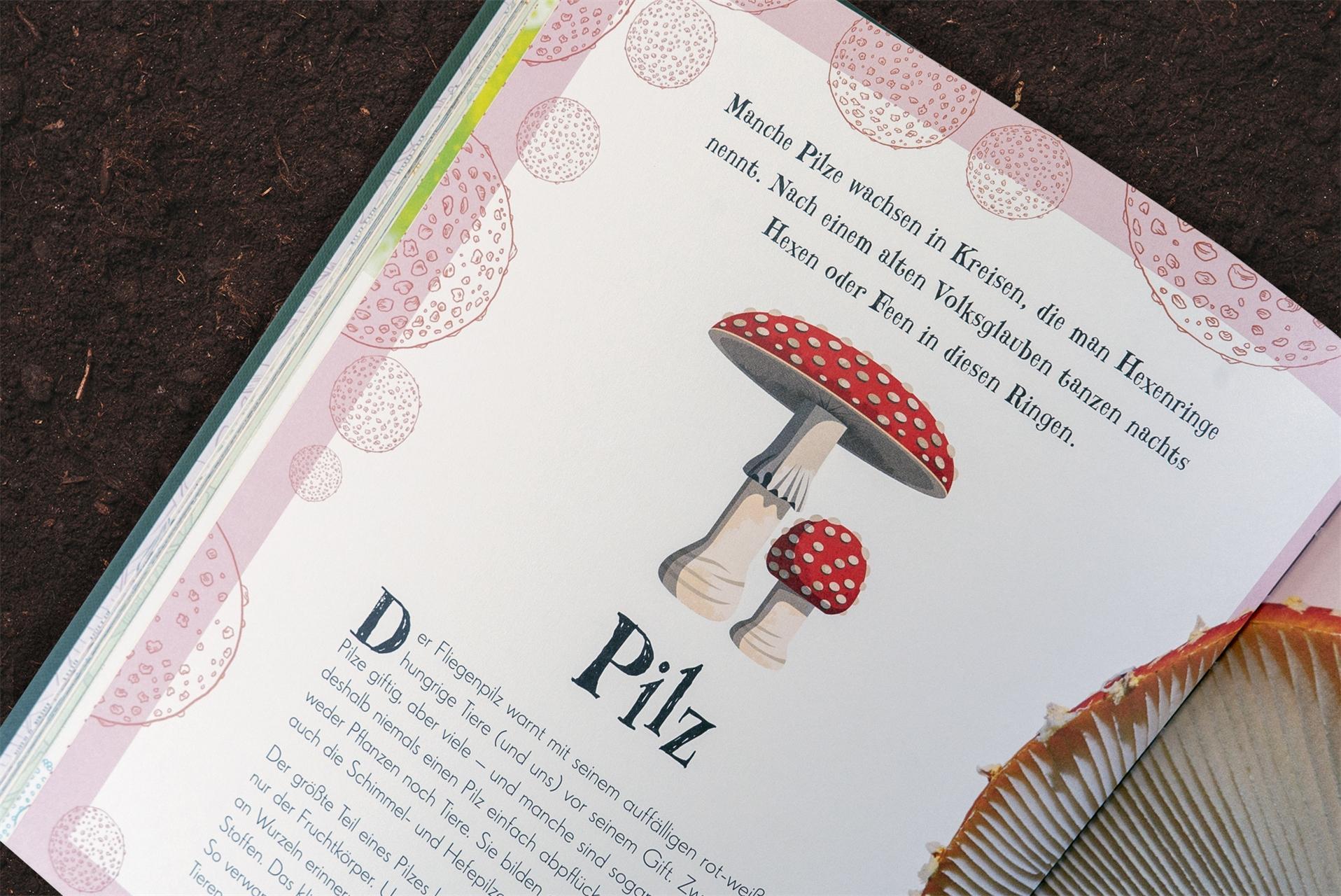 Wundervolle Welt der Natur / Wundervolle Welt Bd.2