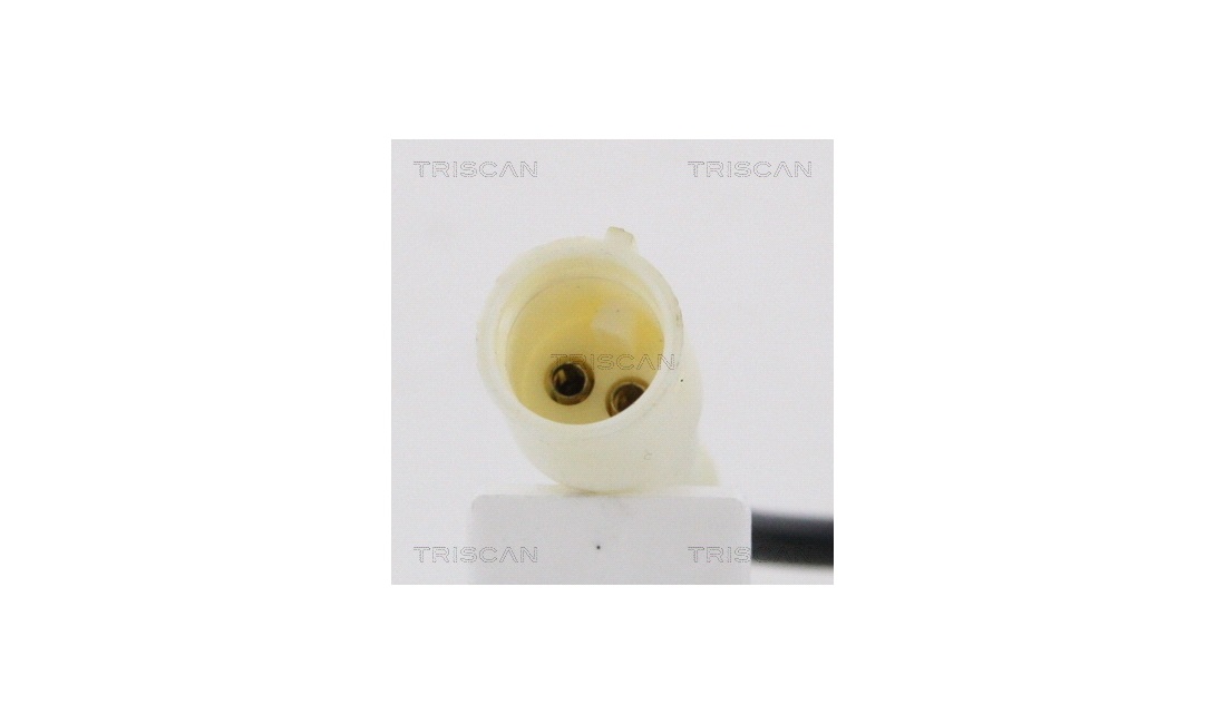 ABS sensor