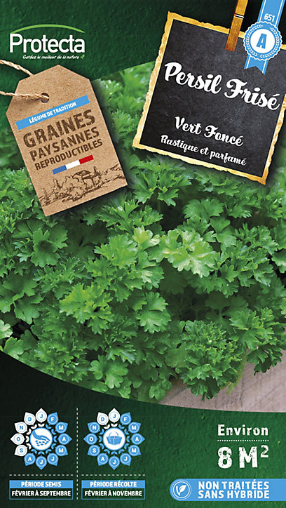 Graine de persil frisé vert foncé Protecta