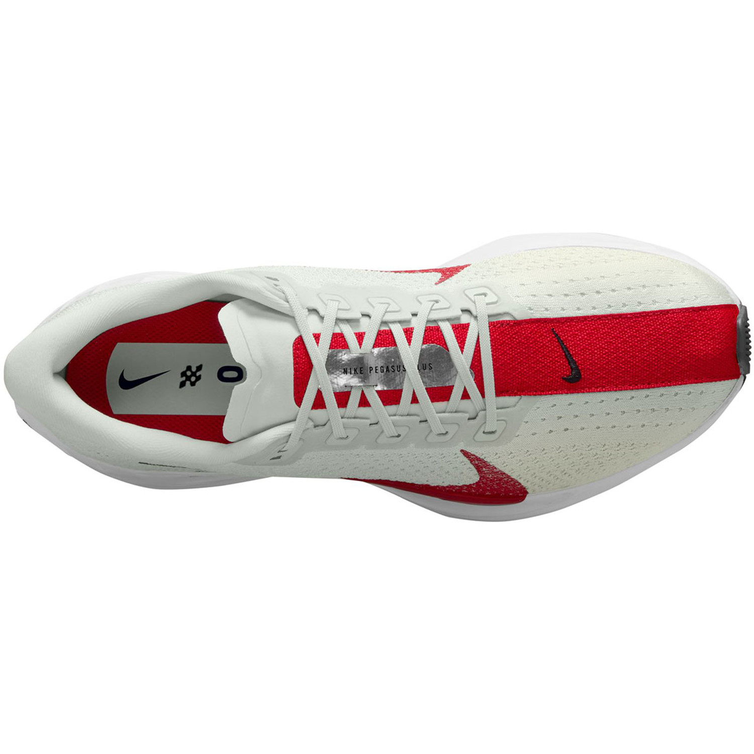 Nike Pegasus Plus Heren