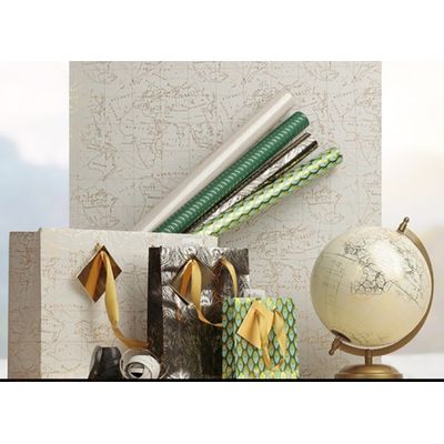Clairefontaine Premium - Papier cadeau - 70 cm x 2 m - 80 g/m² - collection travel