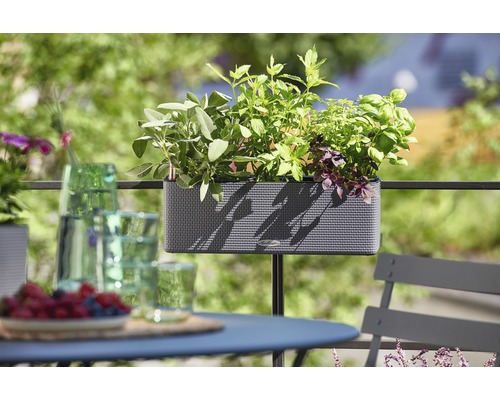Lechuza Cube Color bloembak 40x14x13,5 cm grijs incl. grondbewateringssysteem