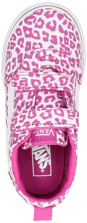 Vans Ward V fuchsia