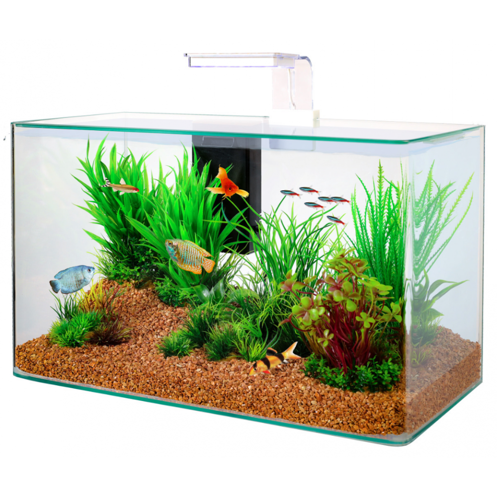 Kit aquarium aqua clear 50 blanc