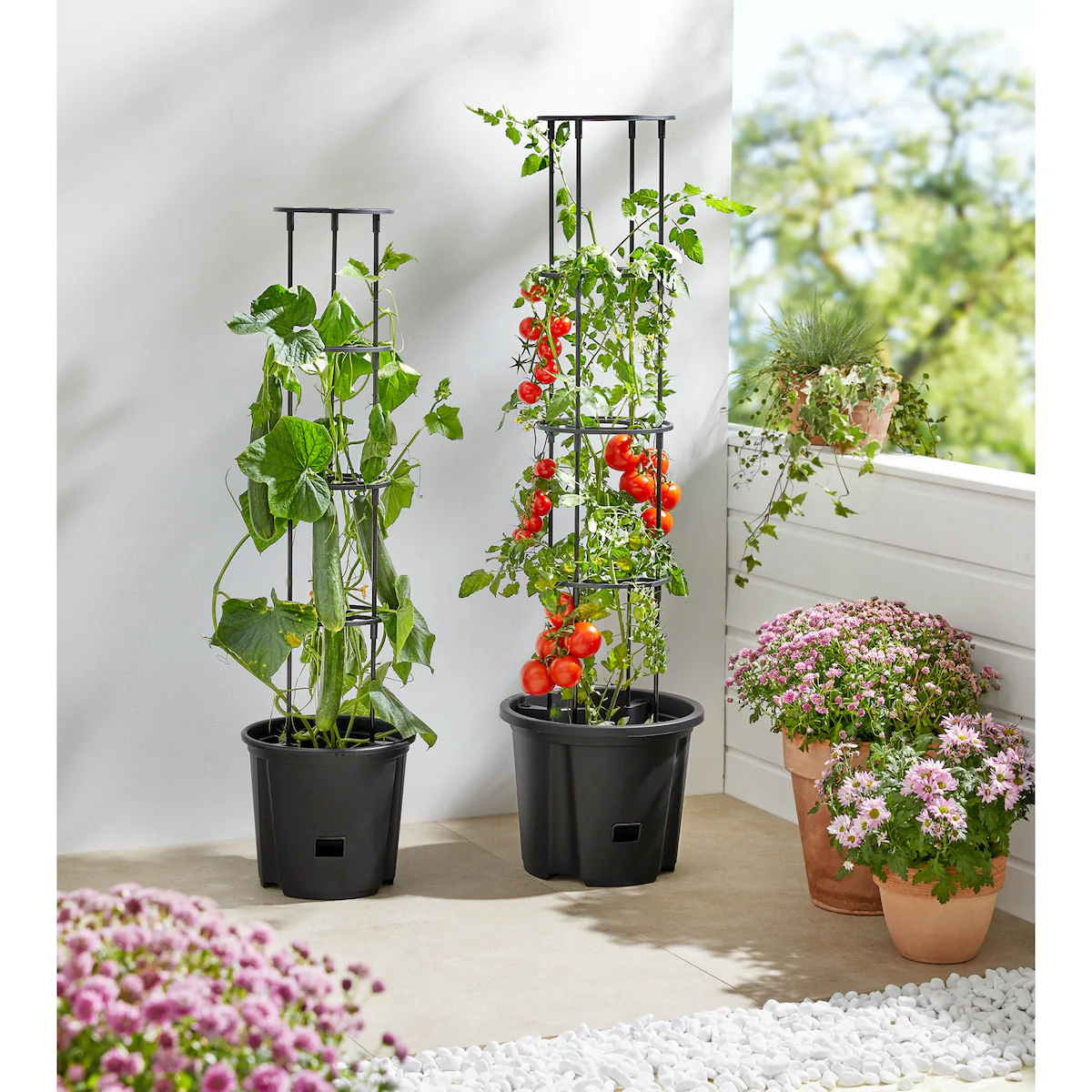 genialo - Tomaten-Pflanztopf mit Rankhilfe - M (ØxH): 30x115 cm