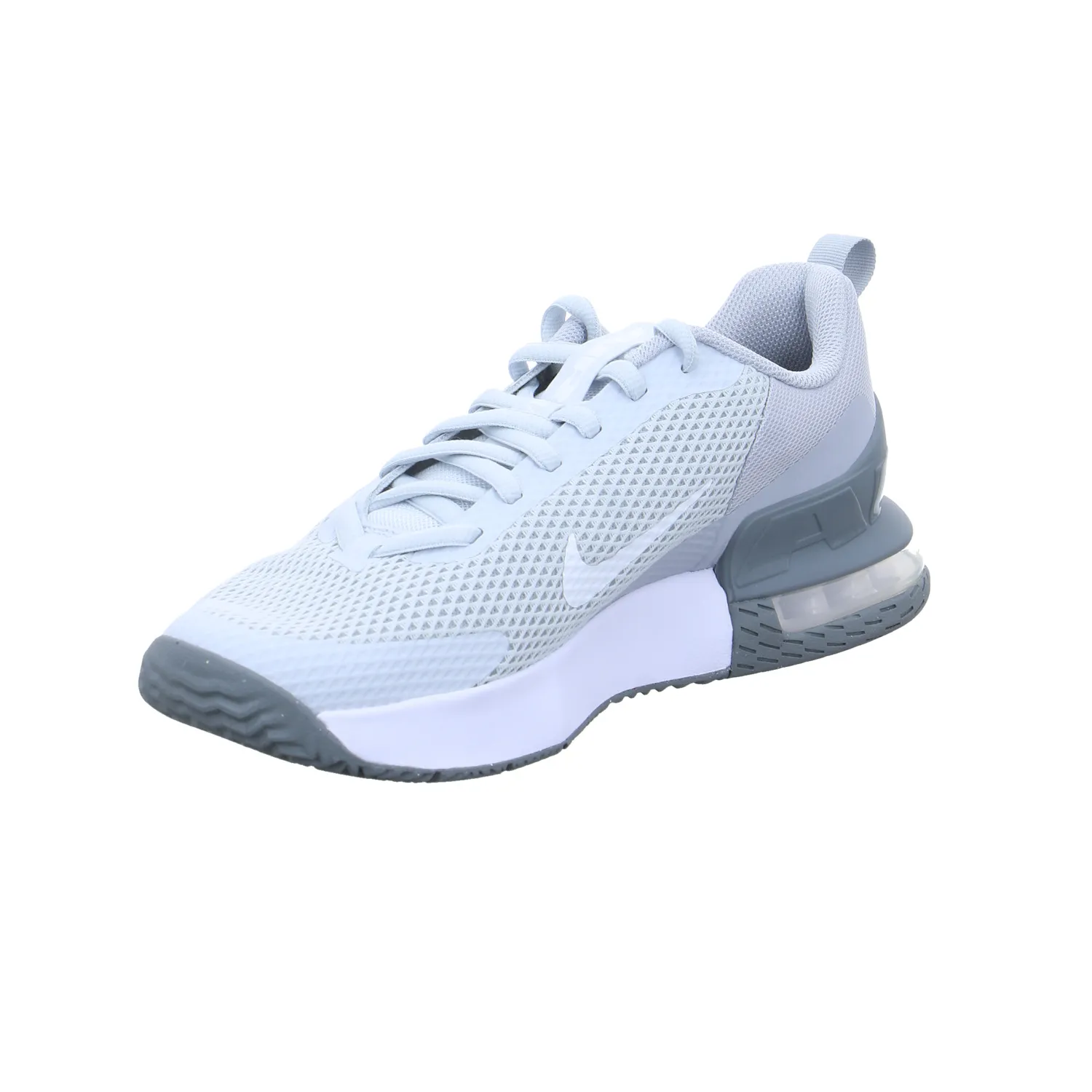 NIKE Sneaker- Skaterschuh Herren Grau Synthetik