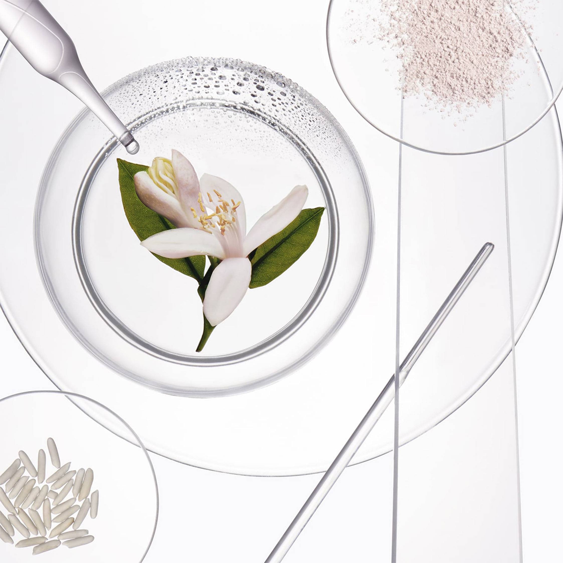 Shampoing sec parfumé Fresh Affair 150g / 150g