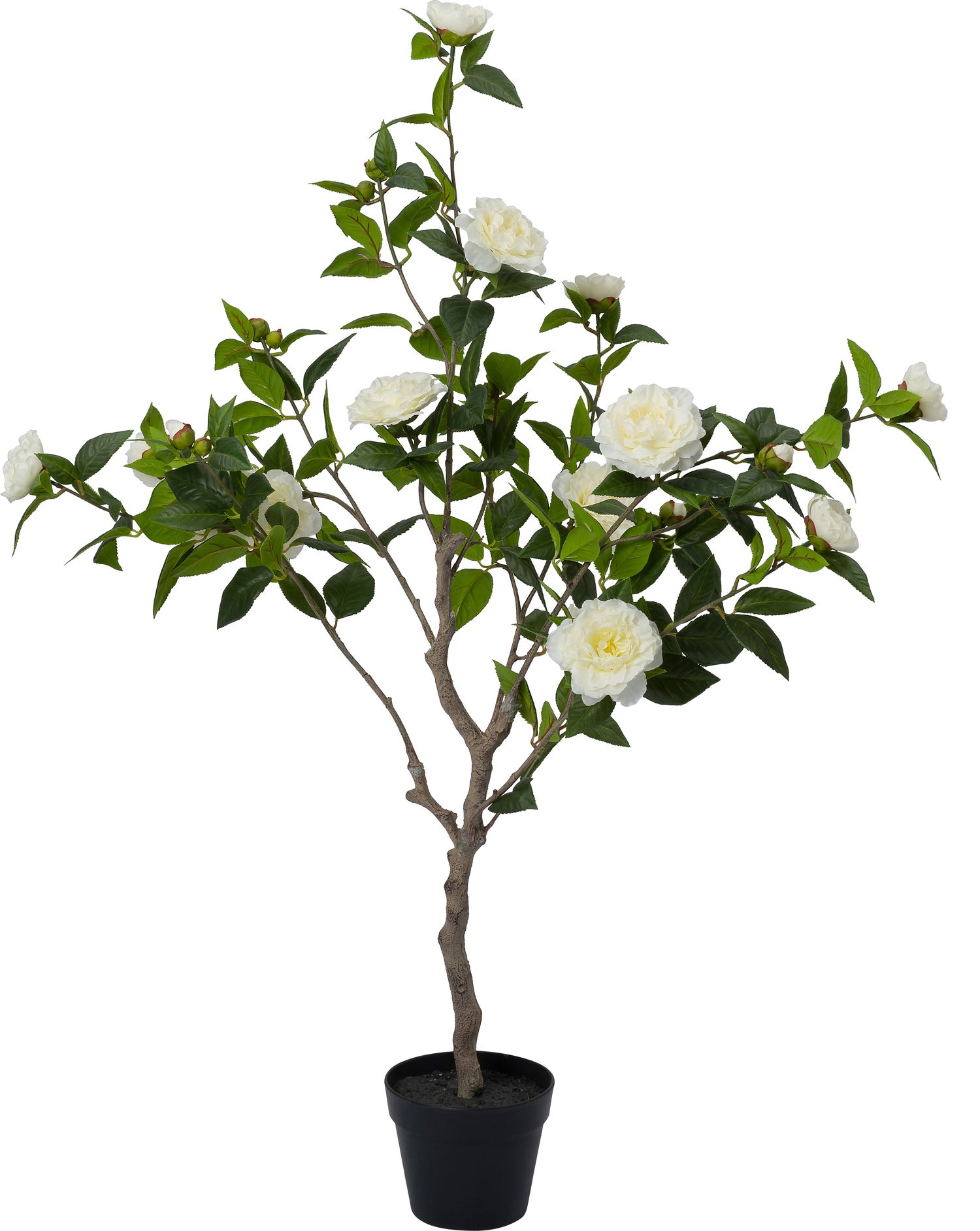 Intratuin kunstplant Roos wit 70 x 60 x 127 cm