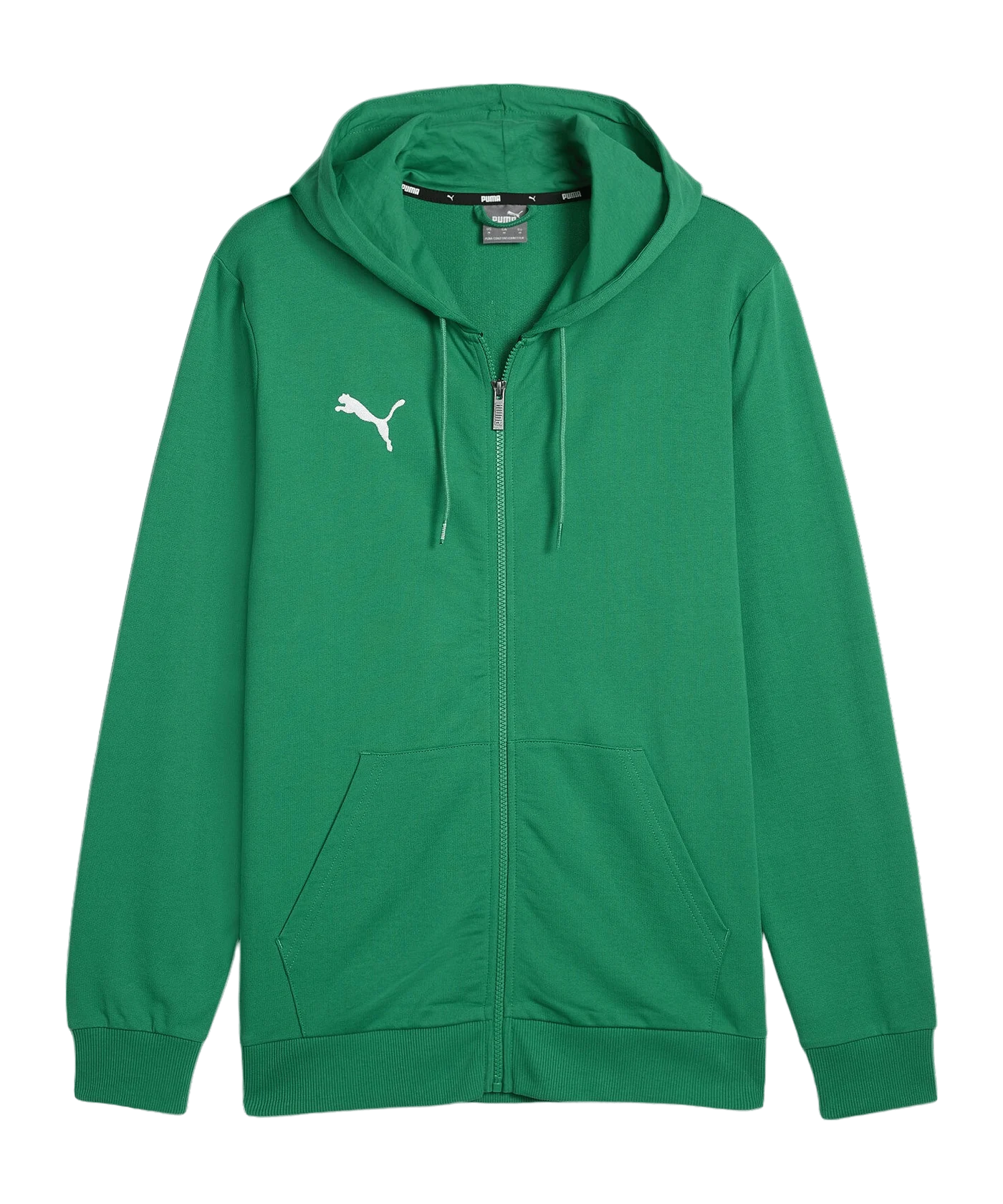 PUMA teamGOAL Casuals hooded jacket green F05