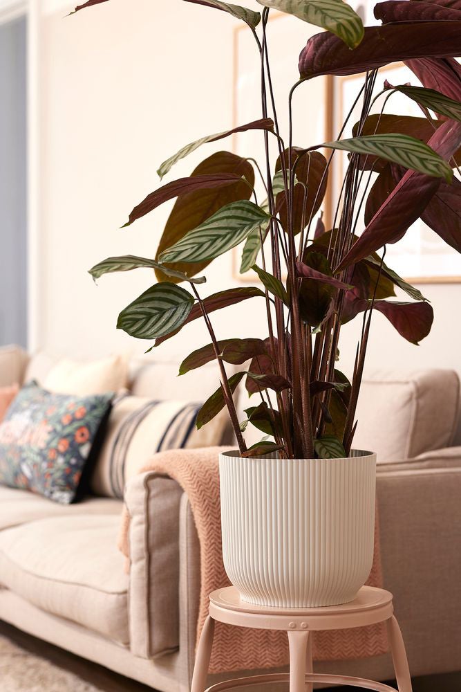 Elho bloempot Vibes wit D 34,9 H 32,4 cm
