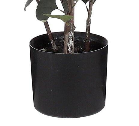 Mica Decorations Eucalyptus in pot groen - h150xd30cm