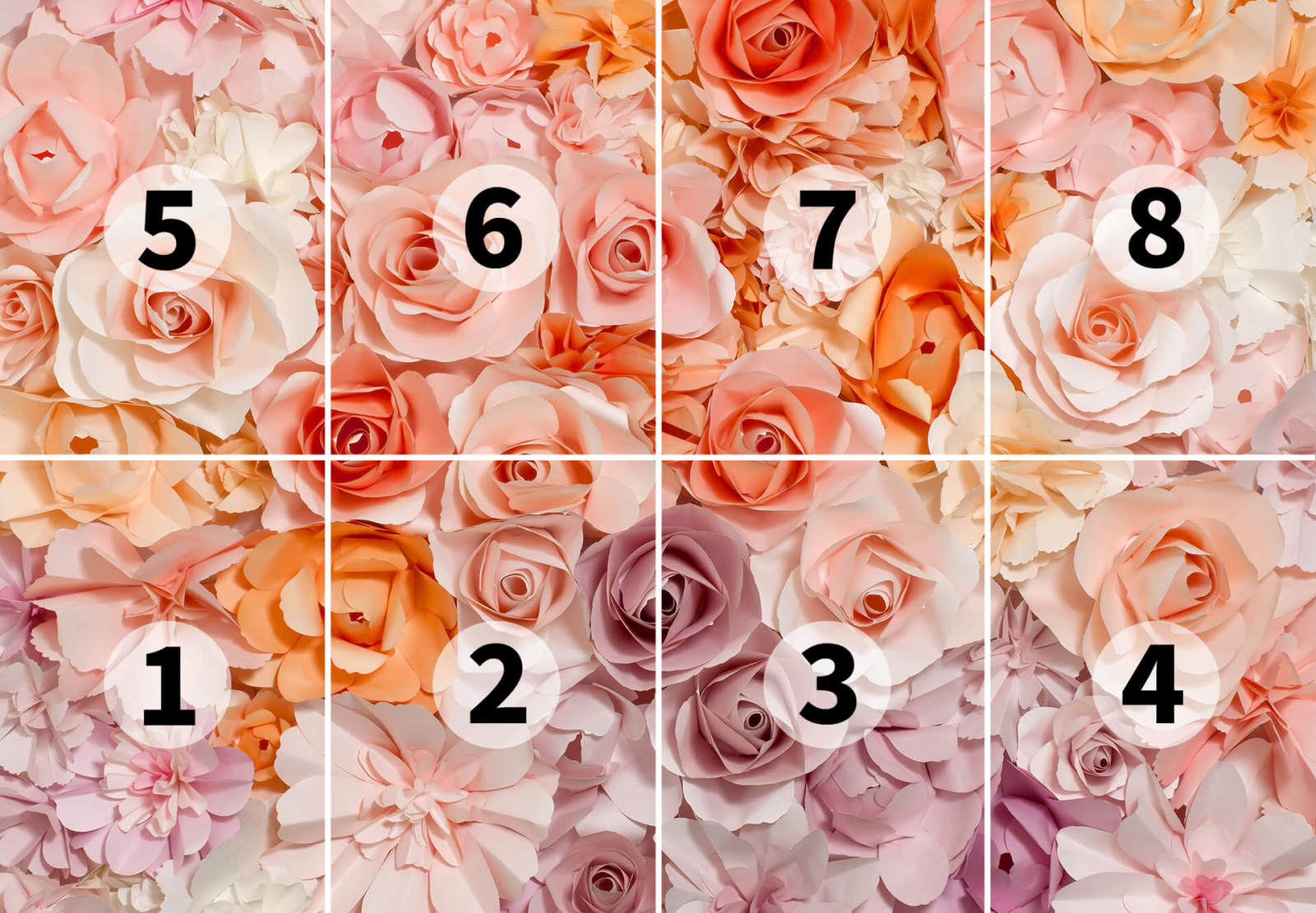 Fototapete DESIGNWALLS 2.0 - rosa-weiß - Rosen - 2,5 Meter