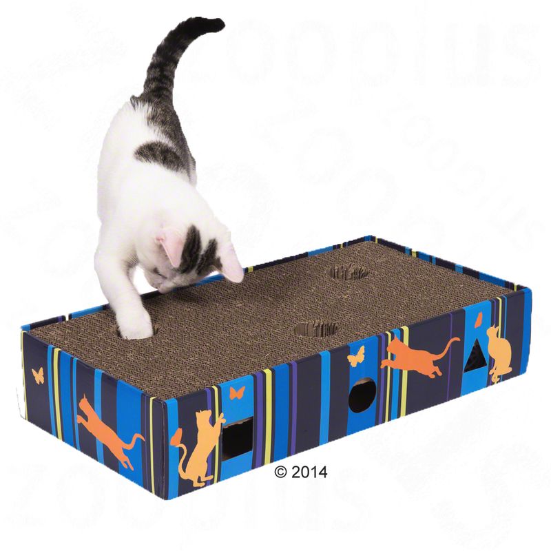 Griffoir Scratch & Play