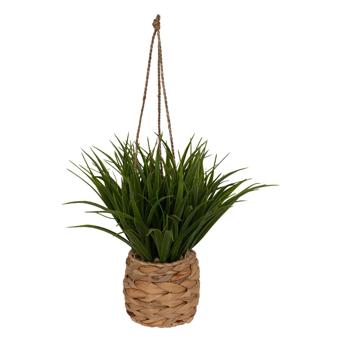 PLANTE POT SUSPENDU HERBE MODA H.27CM