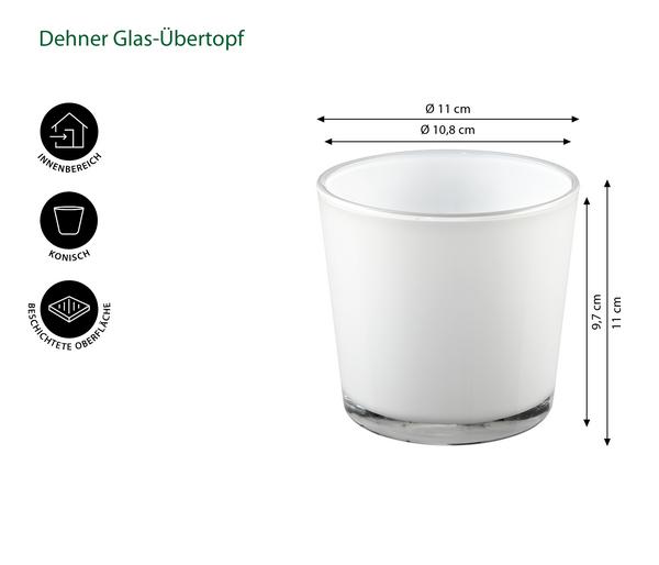 Dehner Glas-Übertopf Conner, konisch